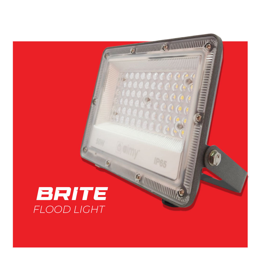 BRITE Flood Light 30W-4