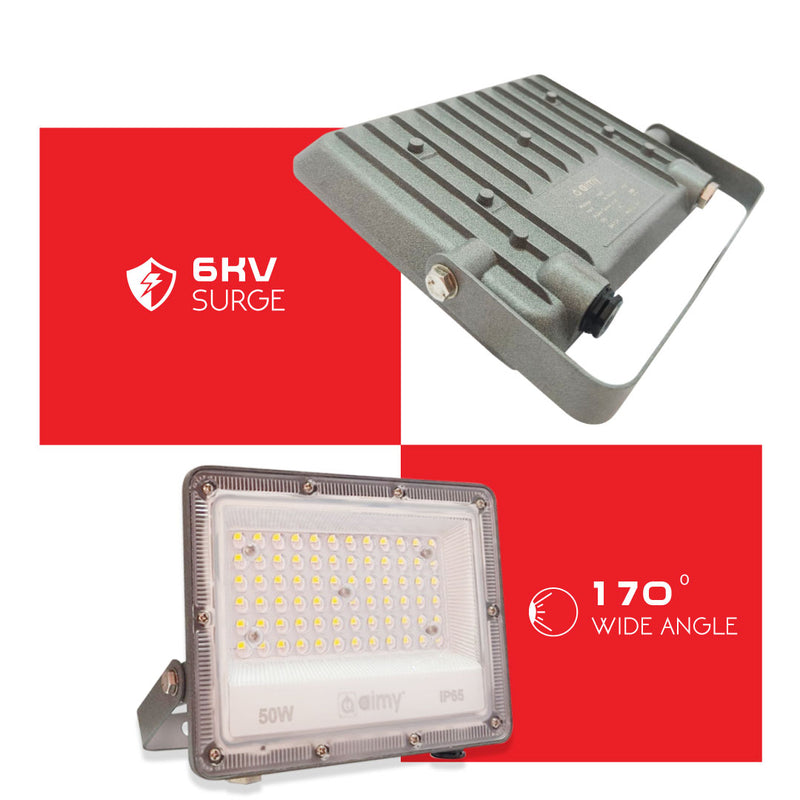 BRITE Flood Light 30W-3